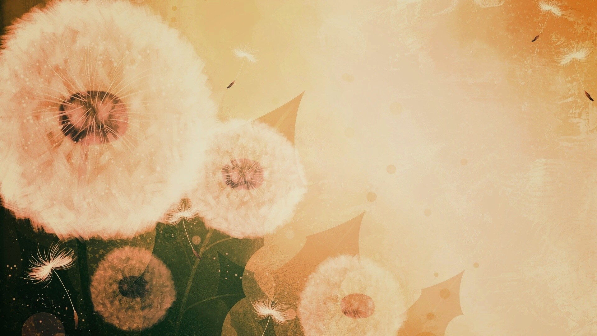 Одуванчики обои