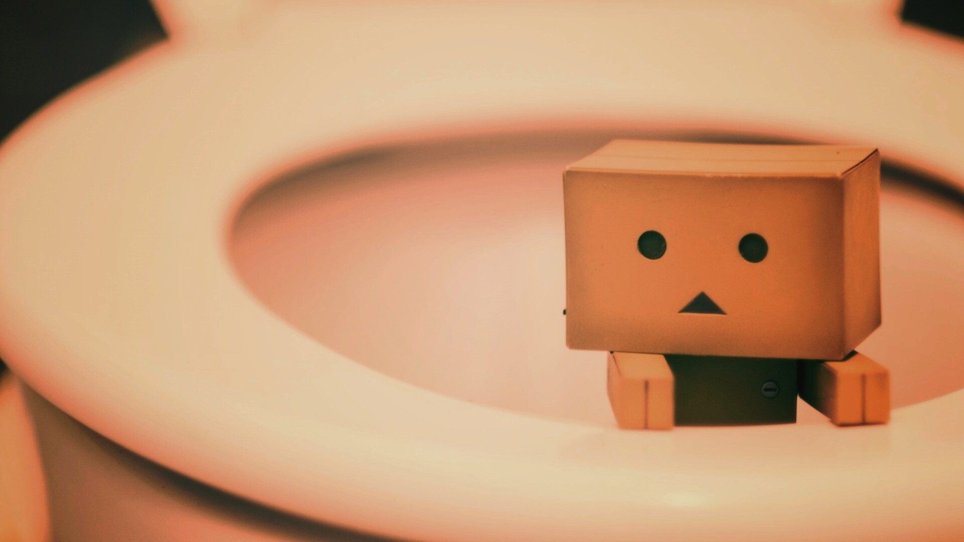 Danbo в унитазе обои