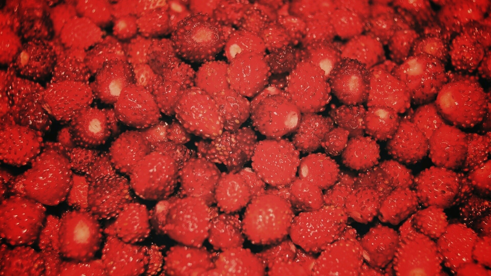 Земляника обои