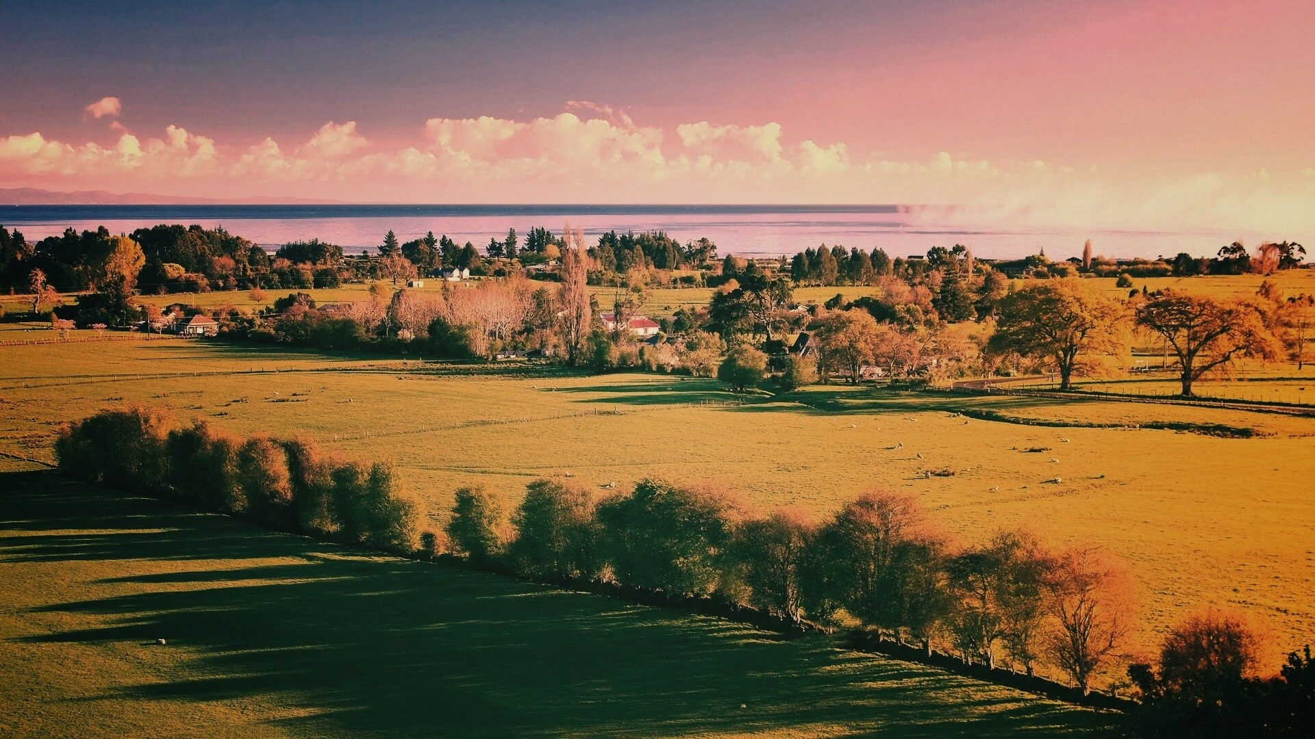 Сельская природа обои