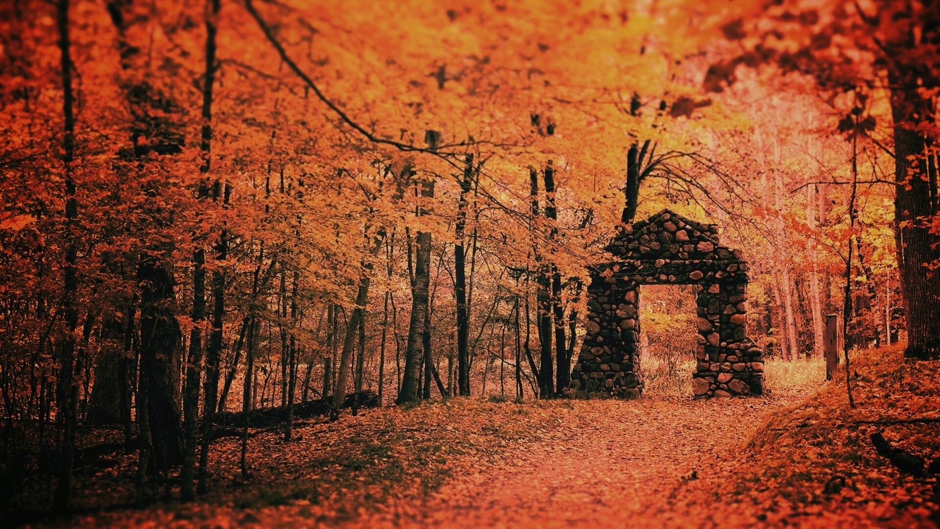 Каменная арка в осеннем лесу обои