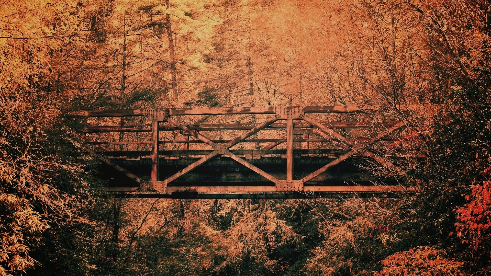 Металлический мост в лесной глуши обои