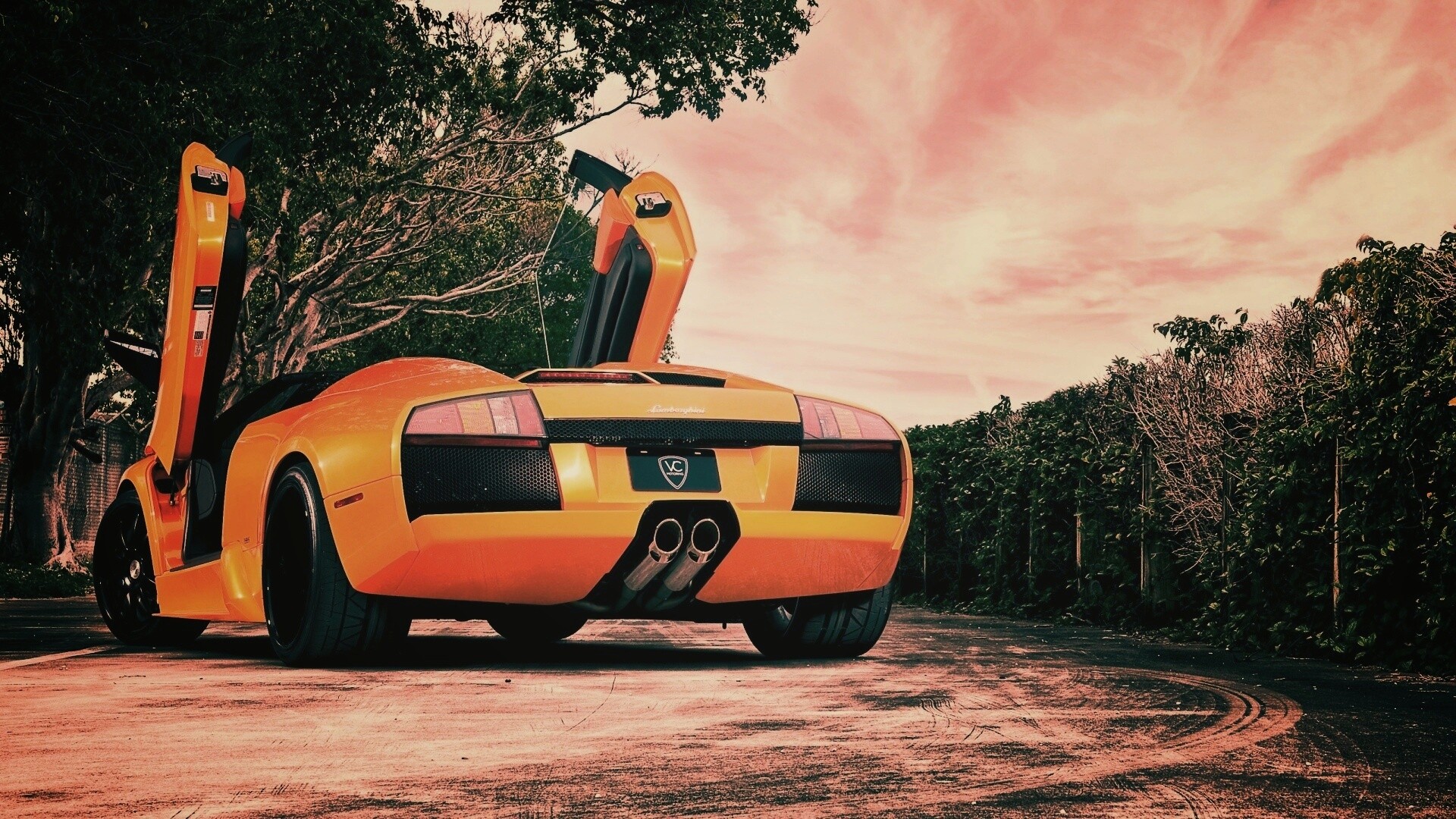 Оранжевая Мюрселаго обои