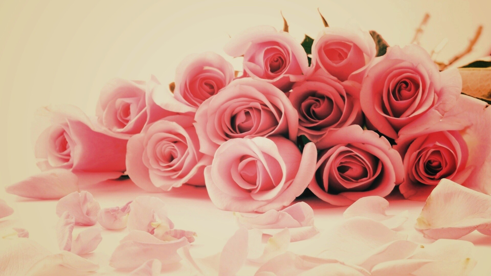 Букет роз обои