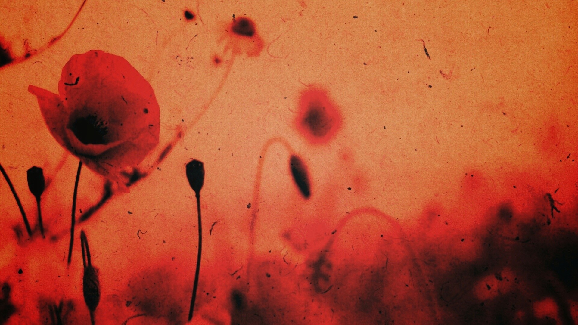 Кровавые цветы в стиле ретро обои