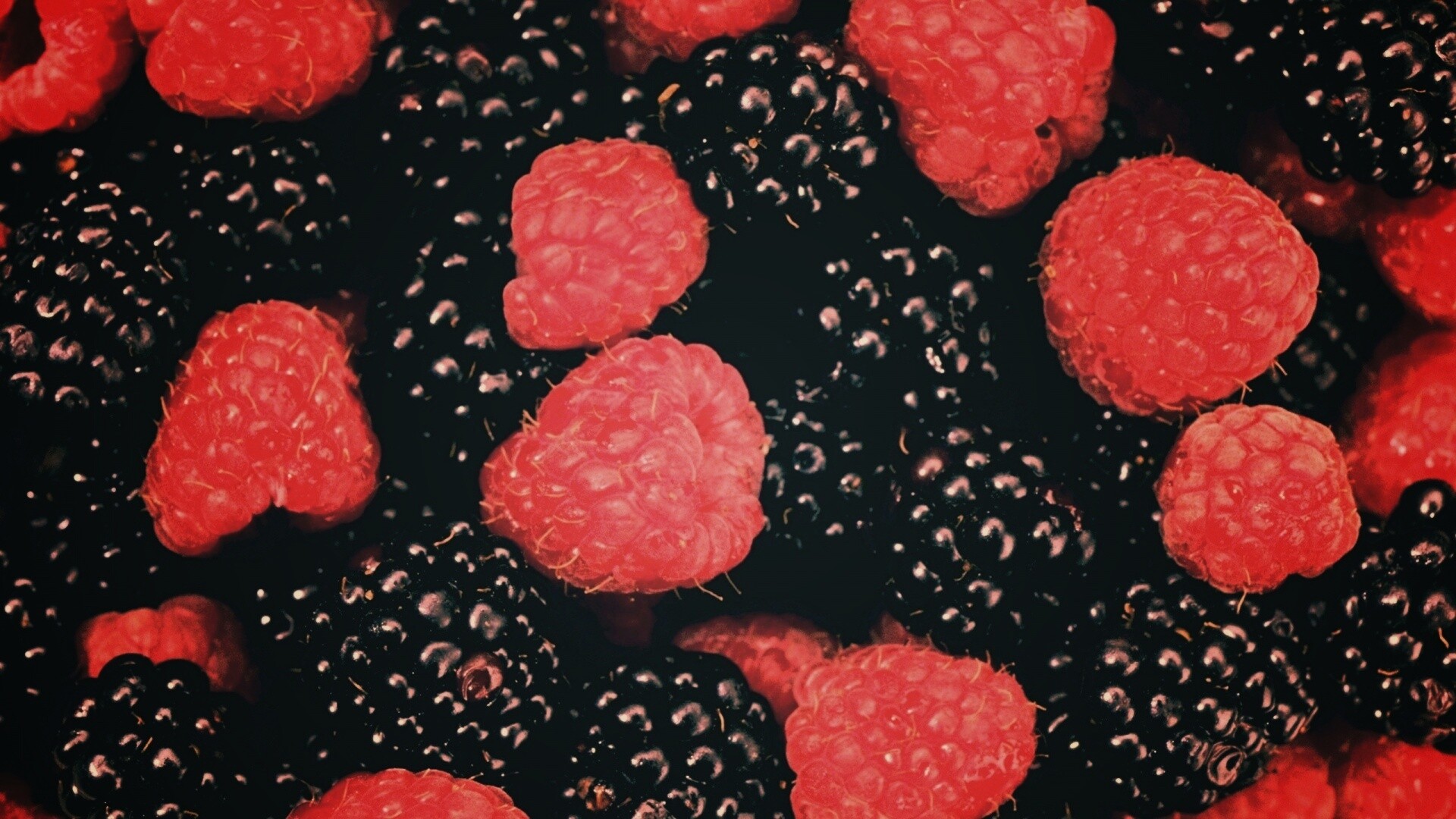 Малина и ежевика обои