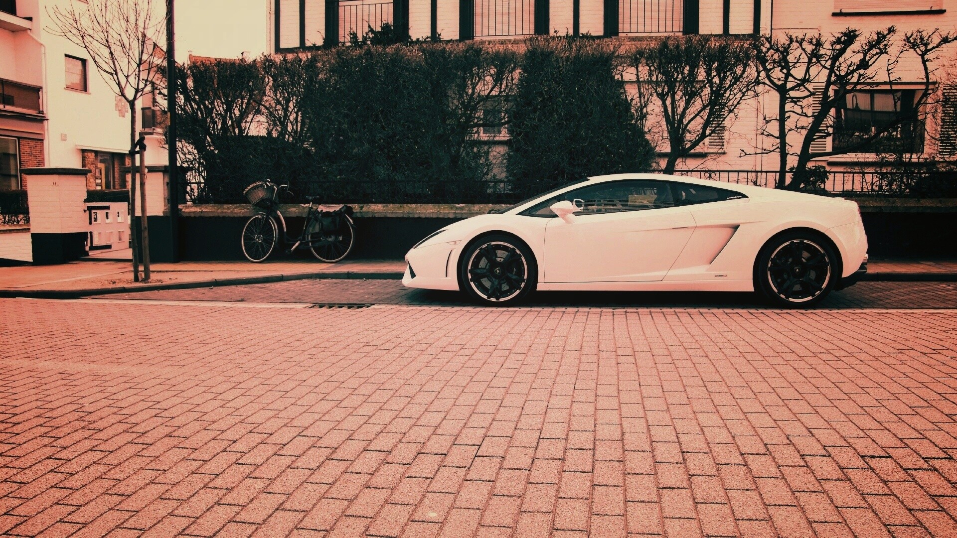 Белый Lamborghini обои