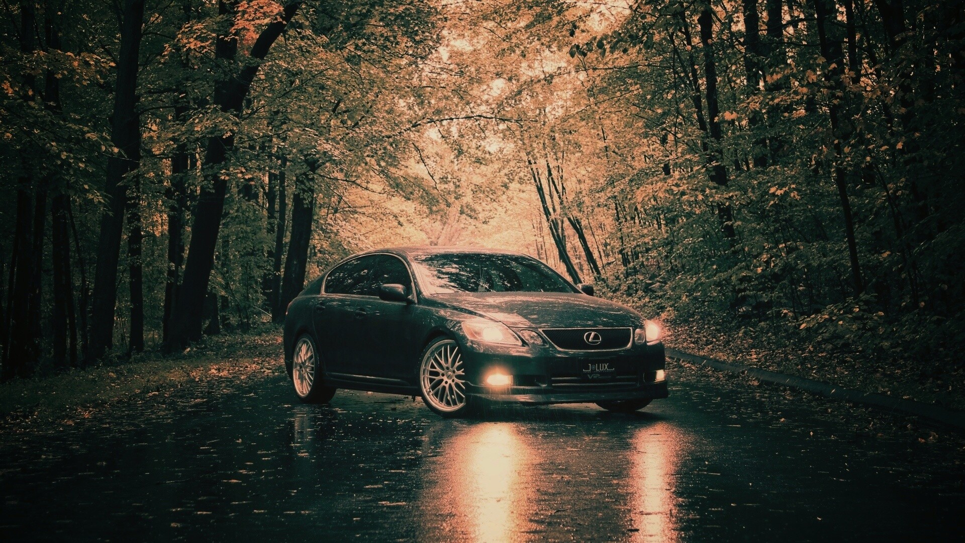 Лексус на лесной дороге обои
