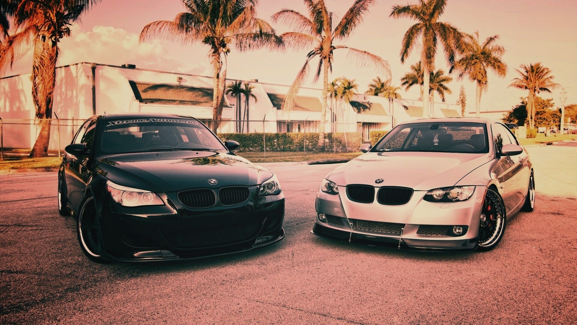Две БМВ обои