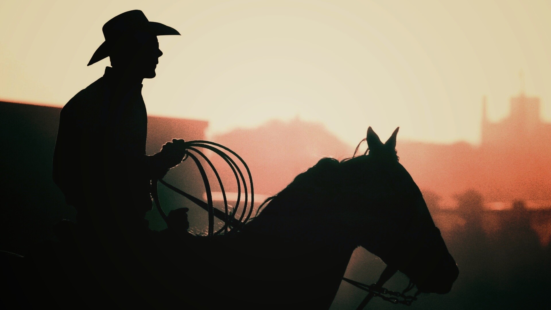 Ковбой с лассо на коне обои