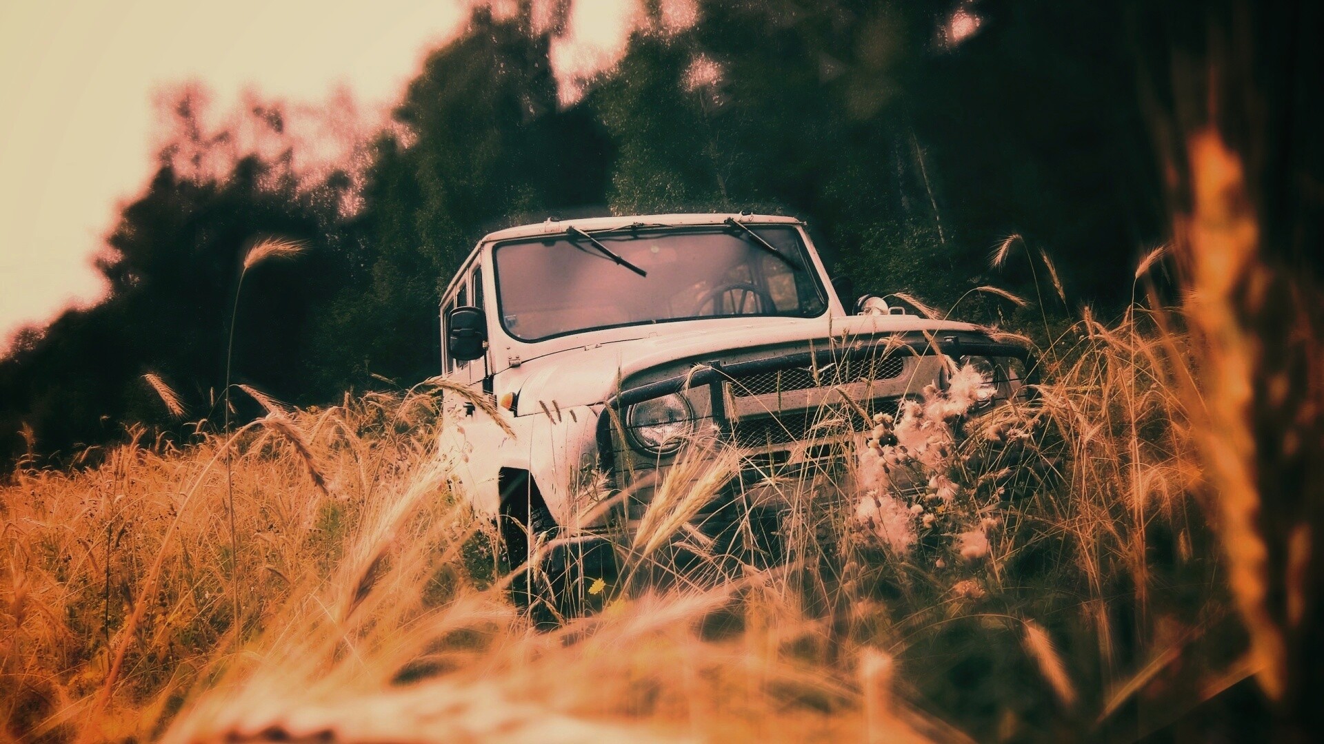 УАЗик в траве обои