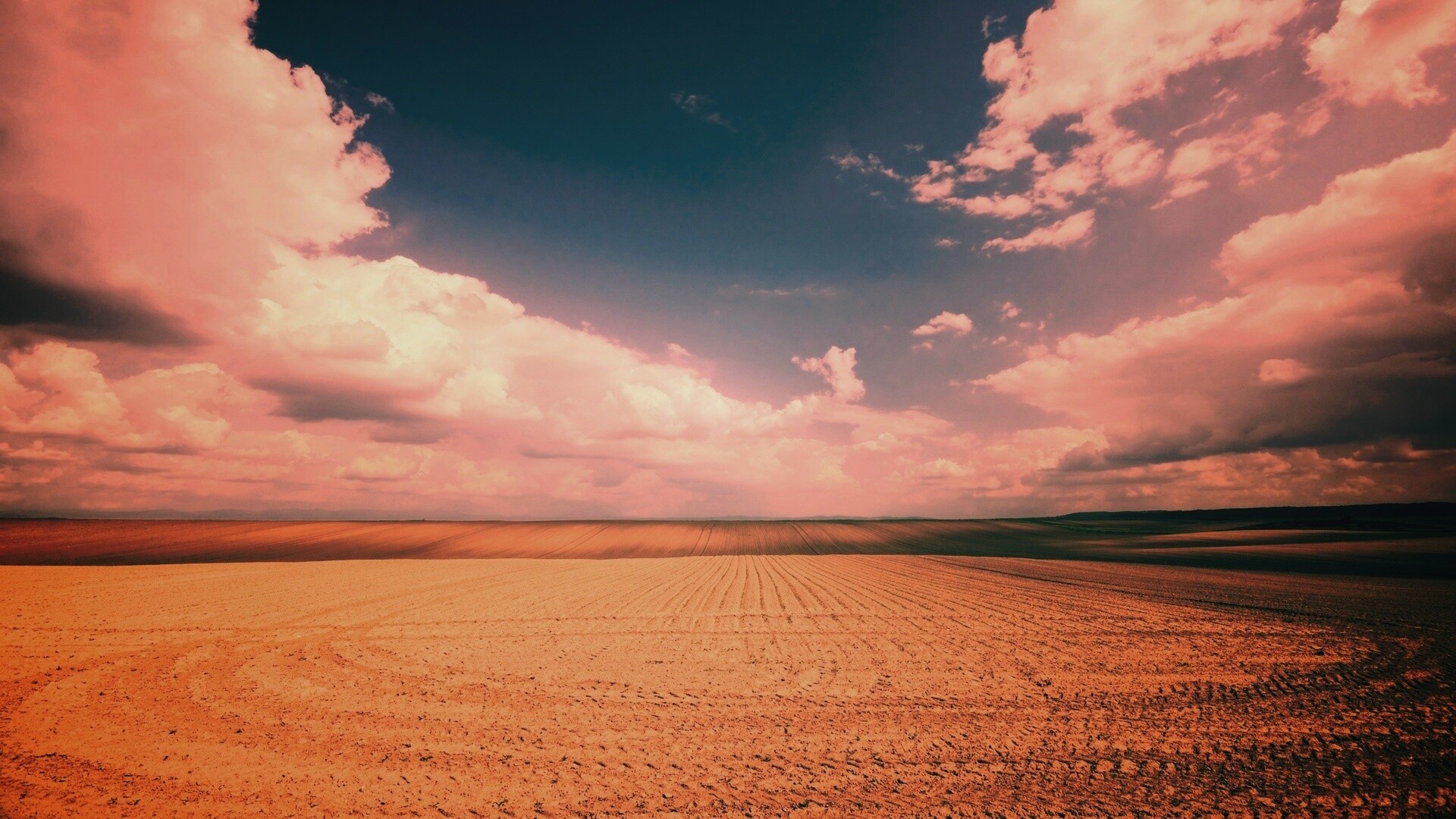 Незасеянное поле обои