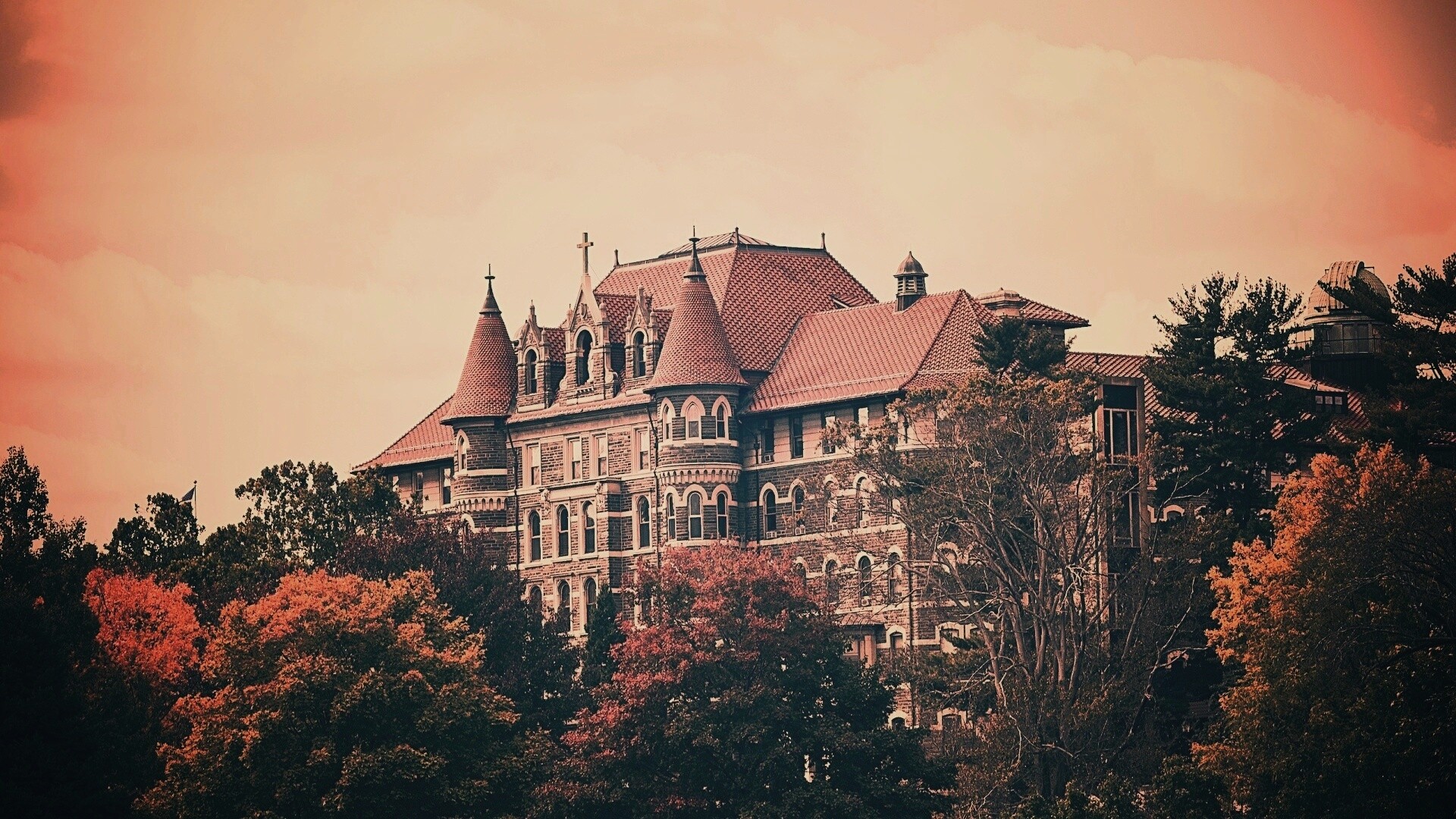 Колледж обои