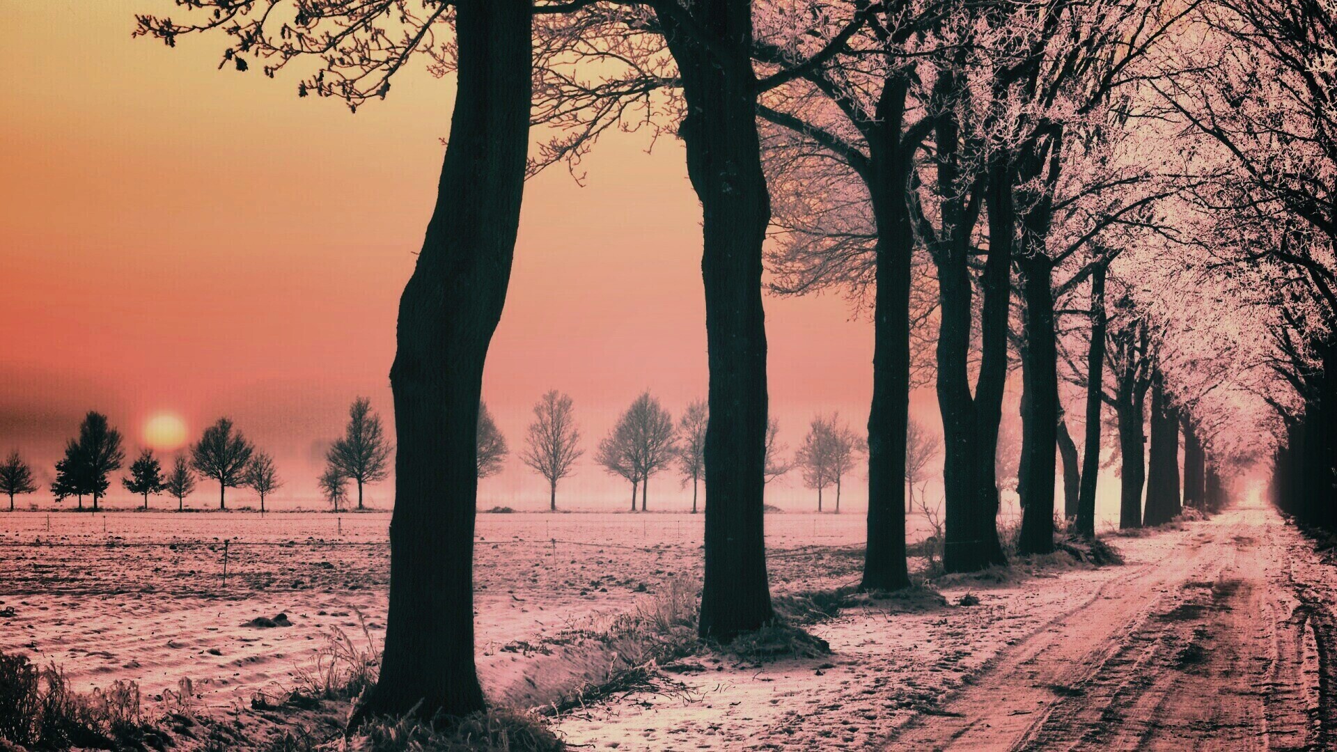 Морозное утро обои