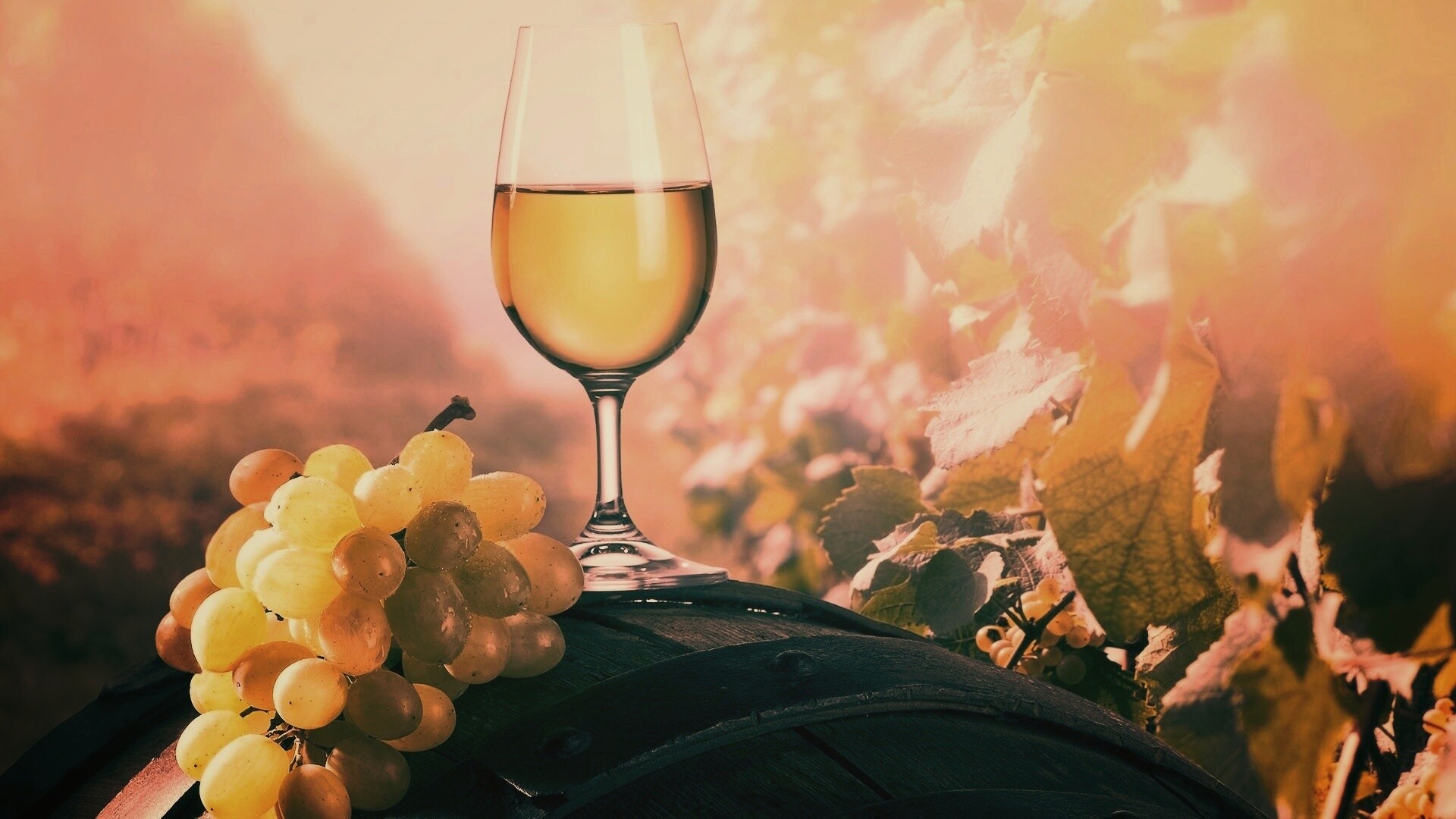 Винная бочка и бокал с белым вином обои