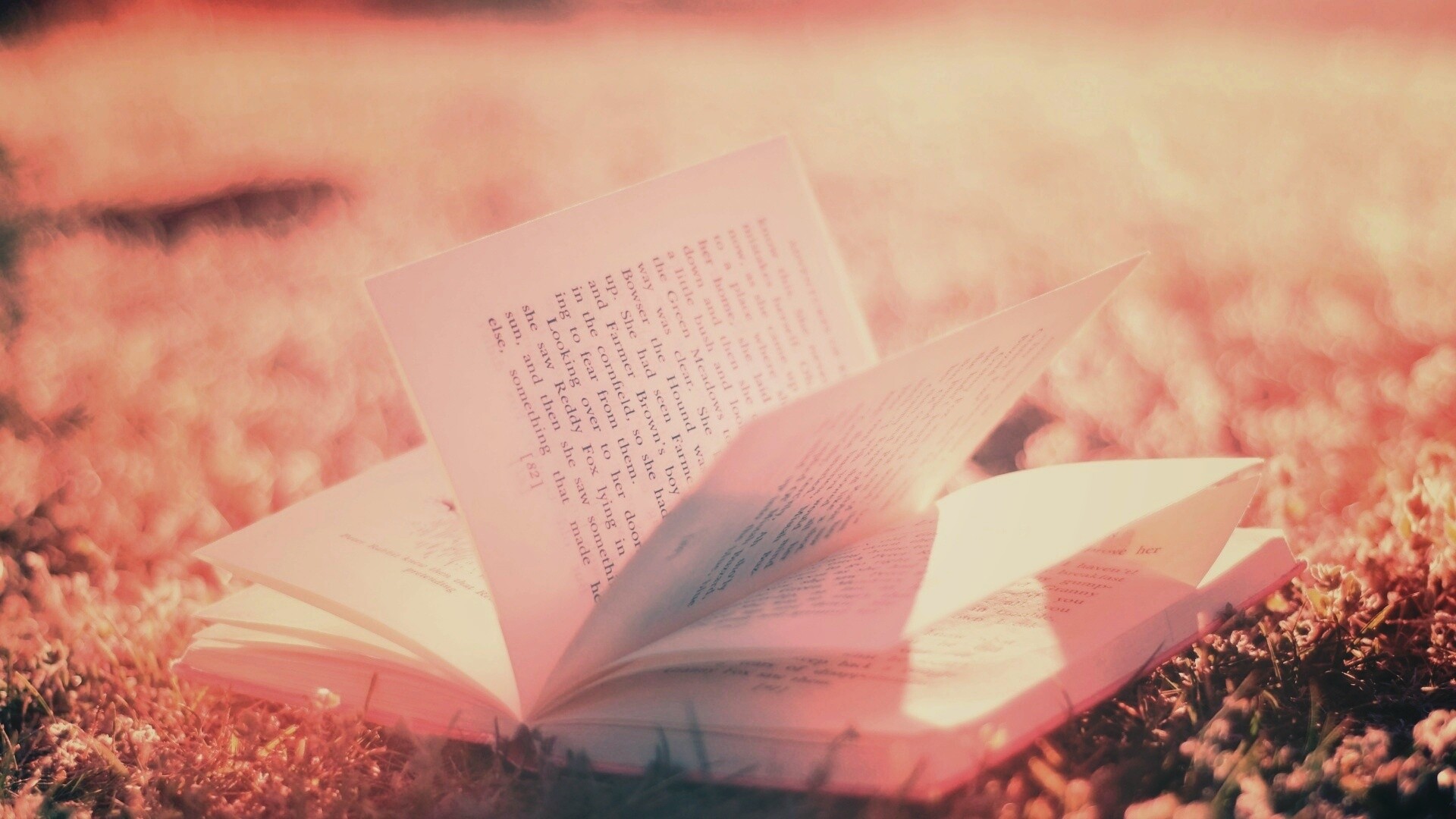 Книга в нежном свете обои