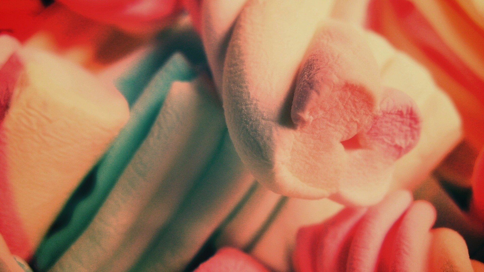 Кручёный зефир обои