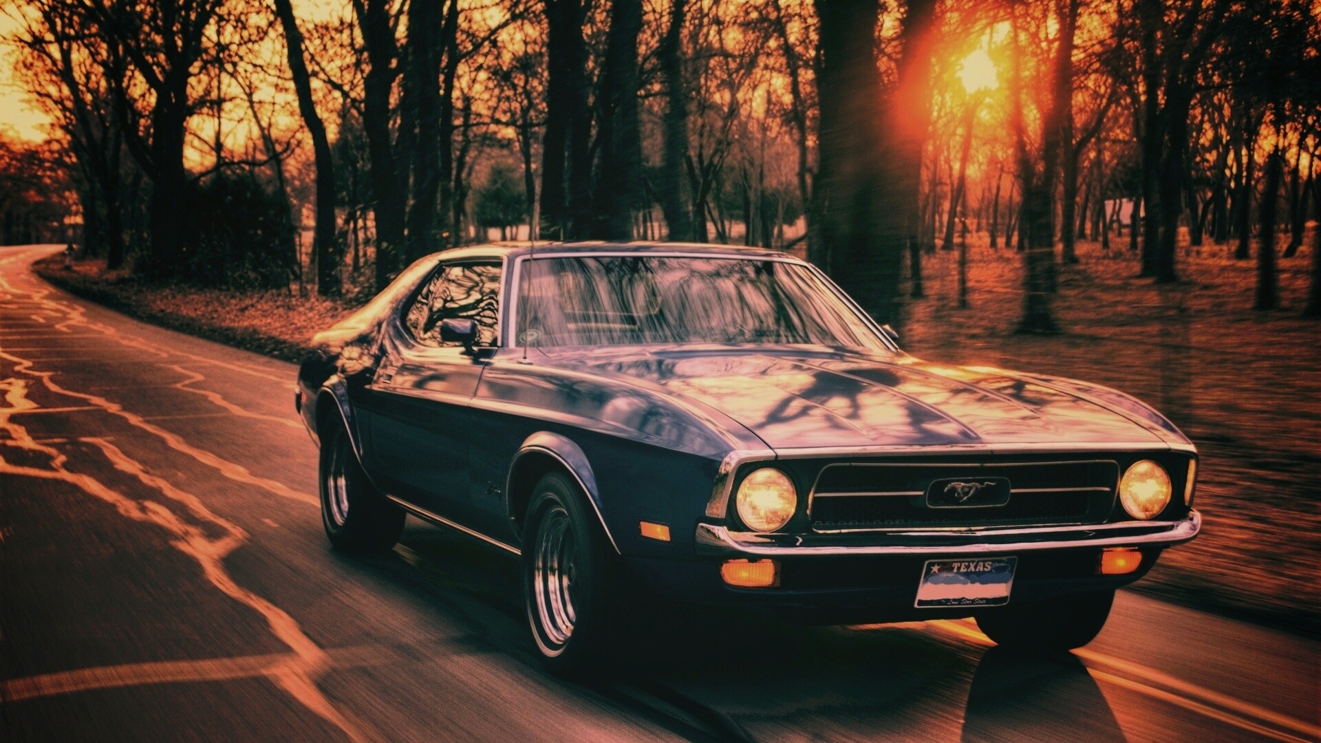 Мустанг обои