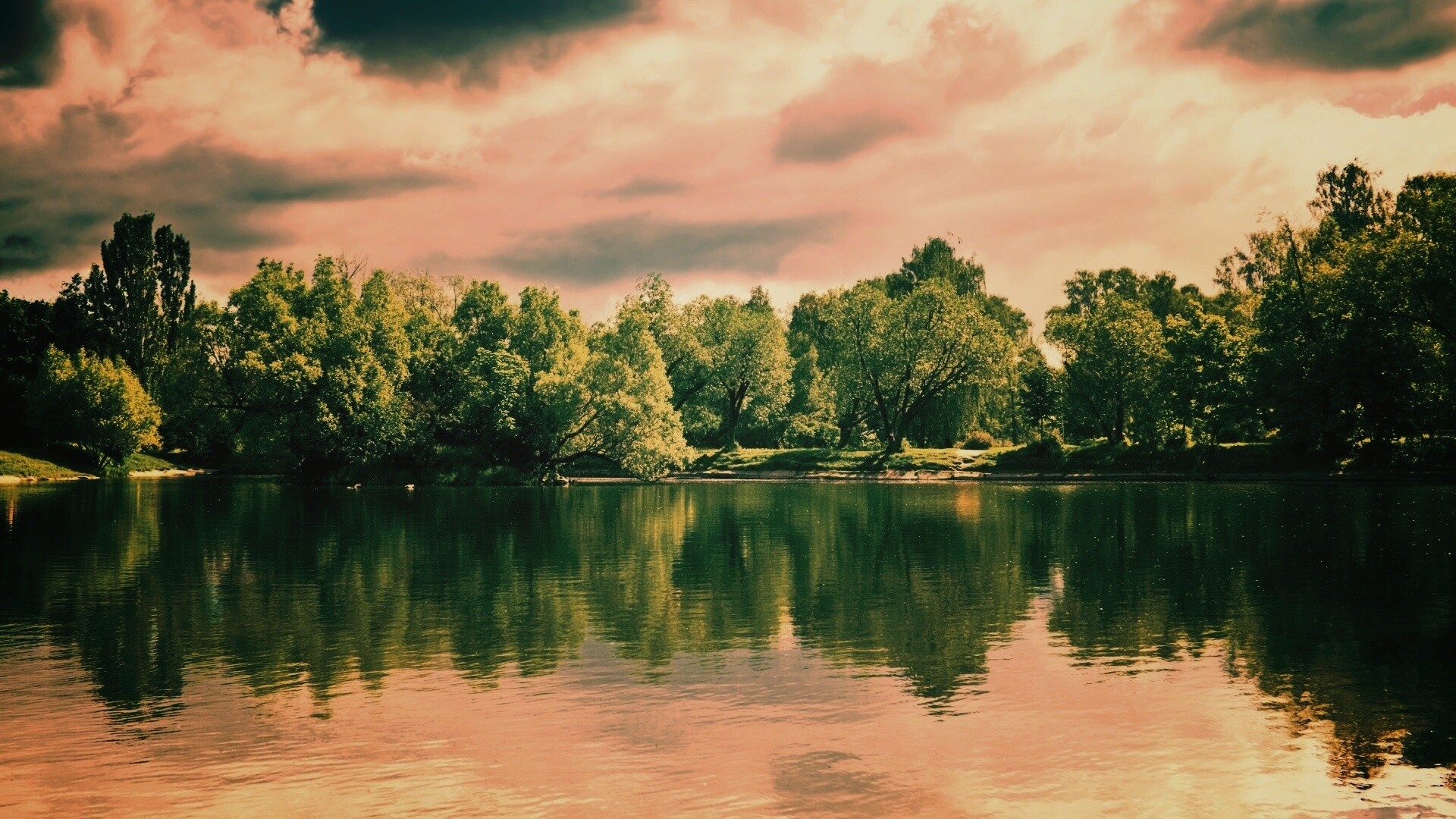 Деревья на берегу озера обои