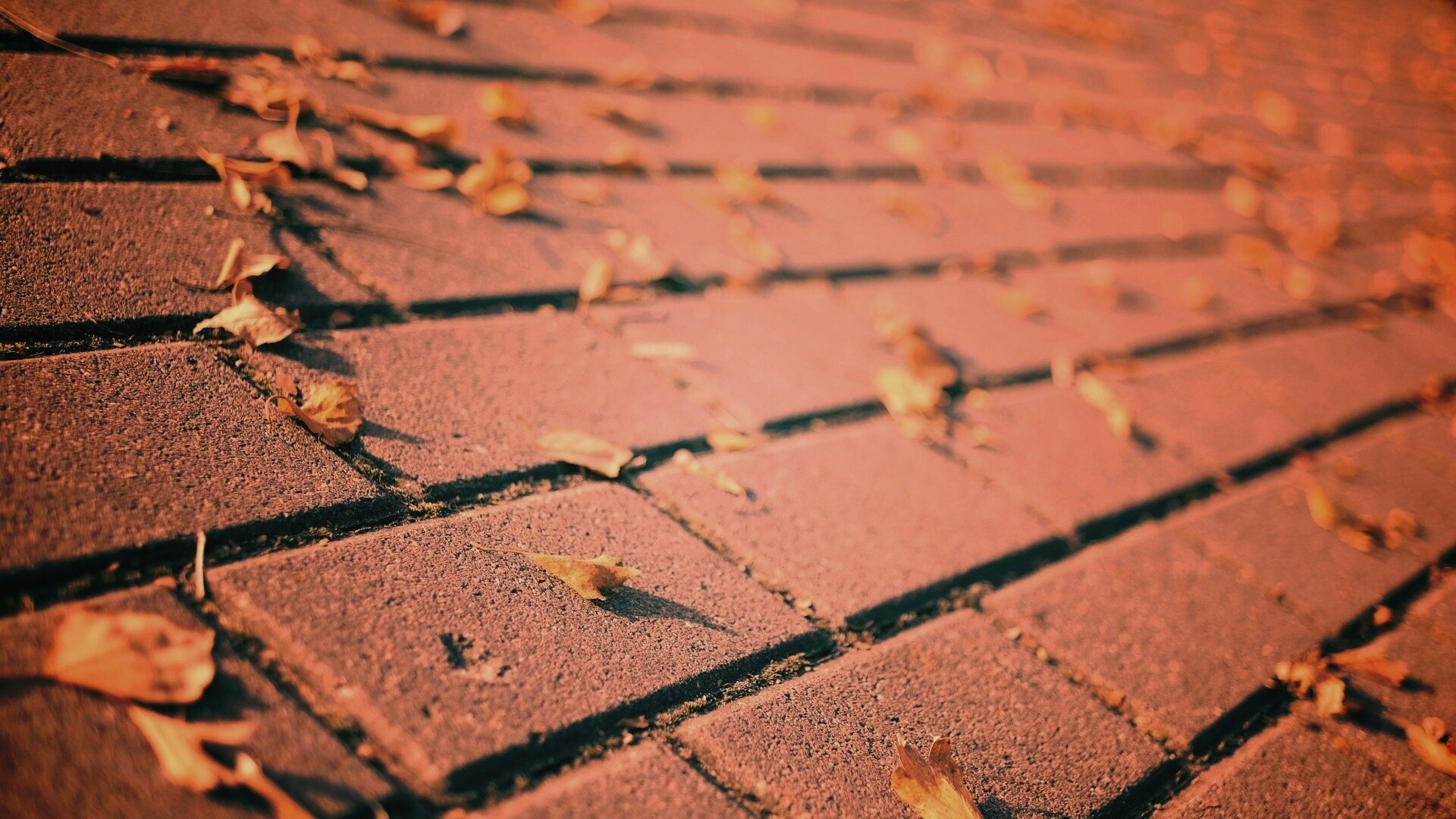 Тротуар обои