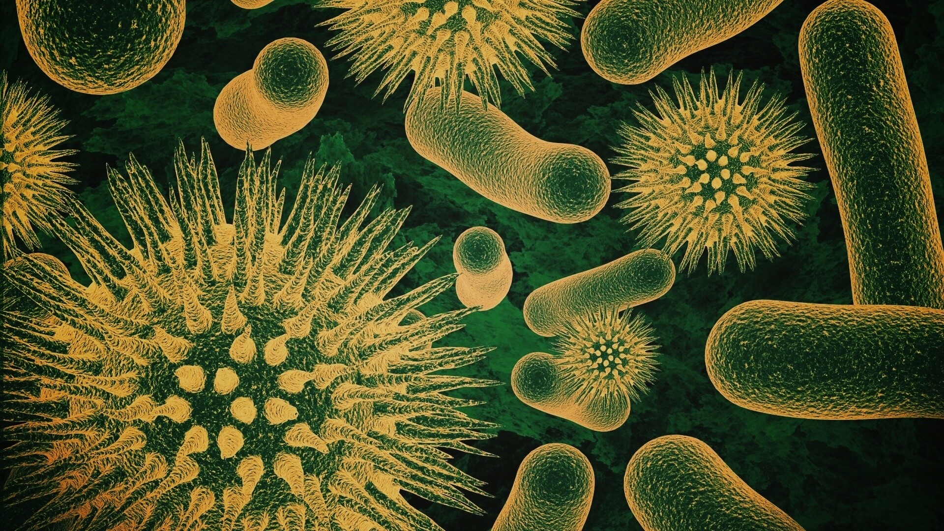 Бактерии обои