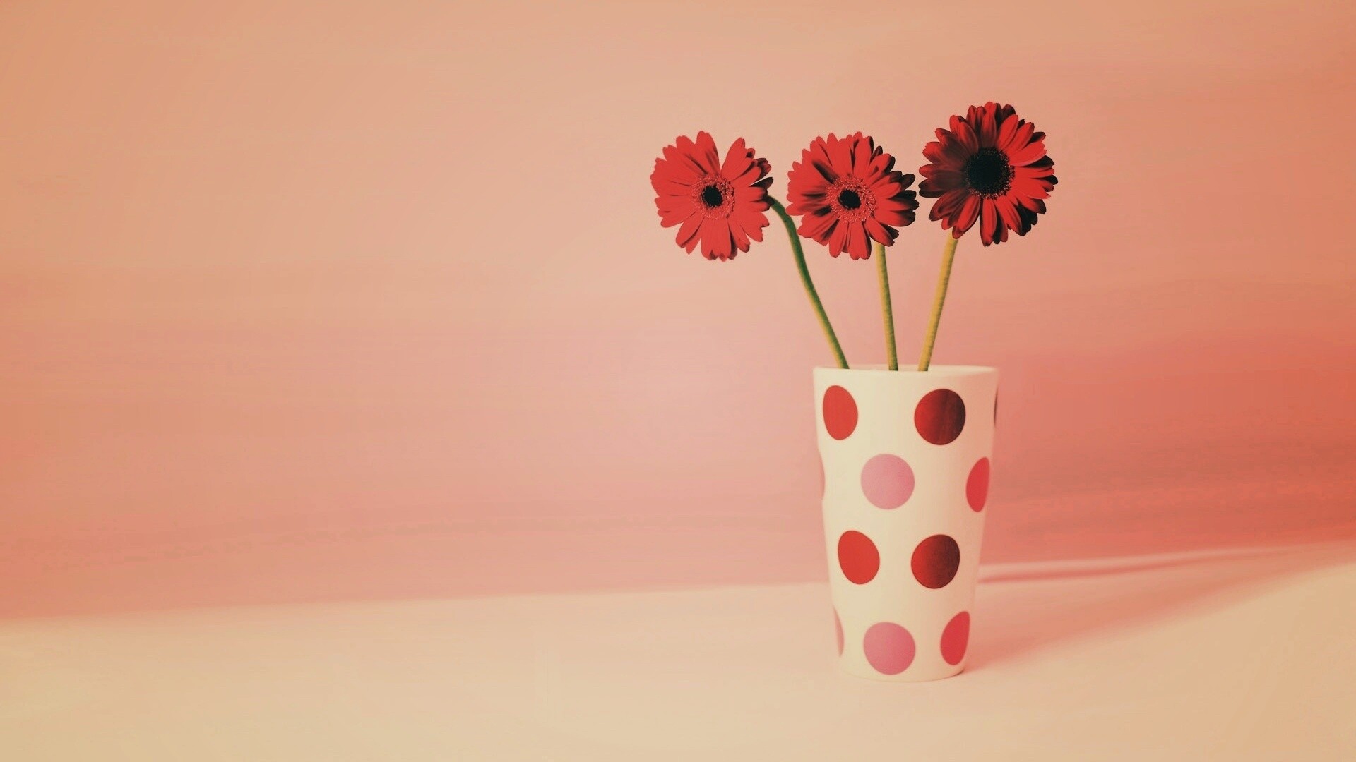 Вазочка с тремя красными герберами обои