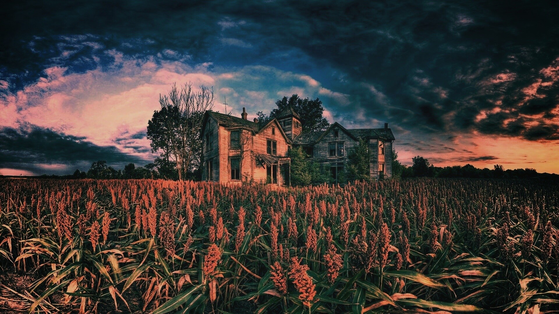 Заброшенный дом  обои