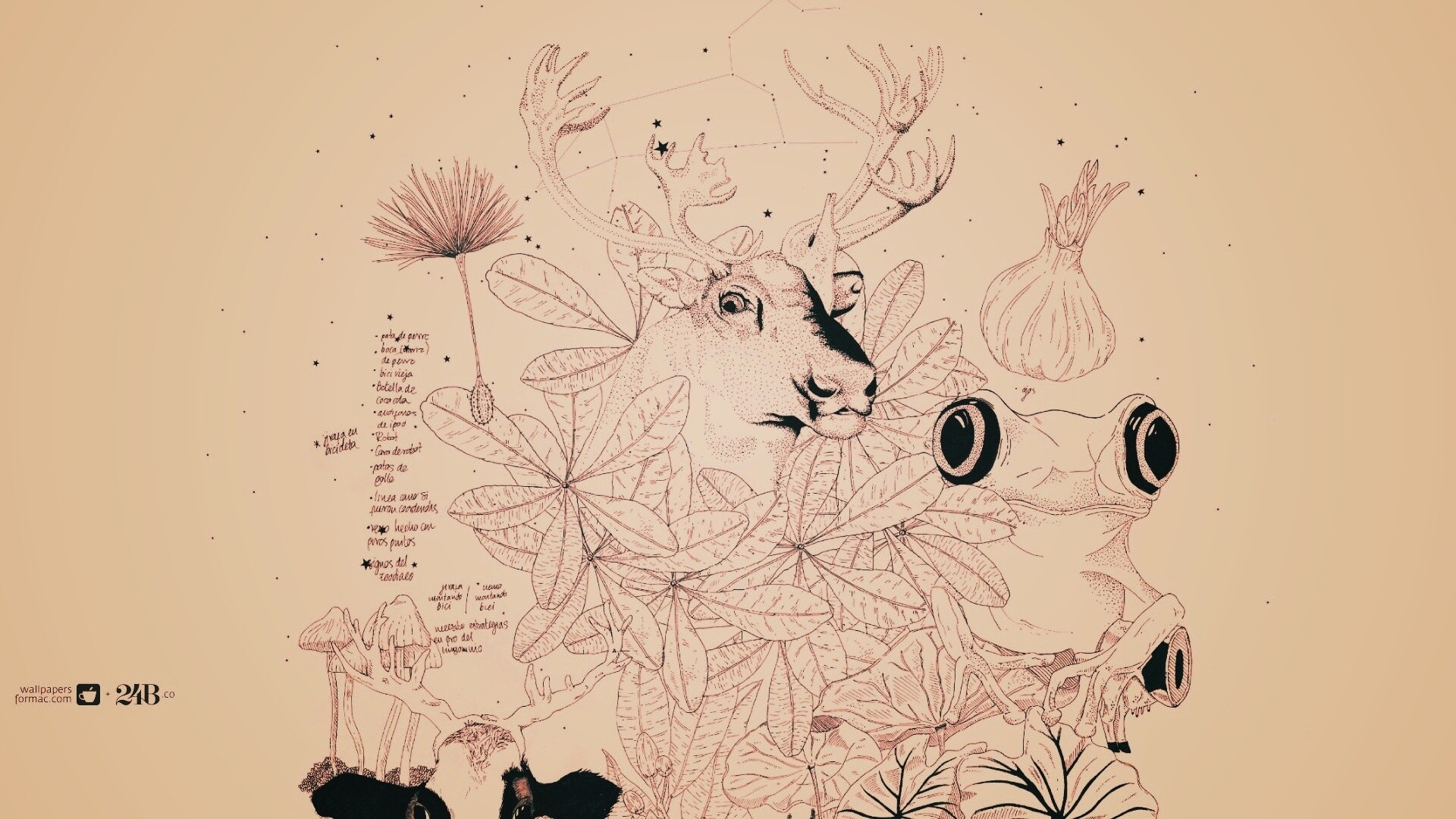 Животные на рабочий стол Apple обои