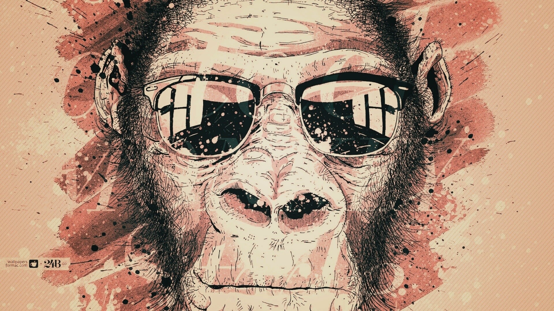 Макака в очках обои