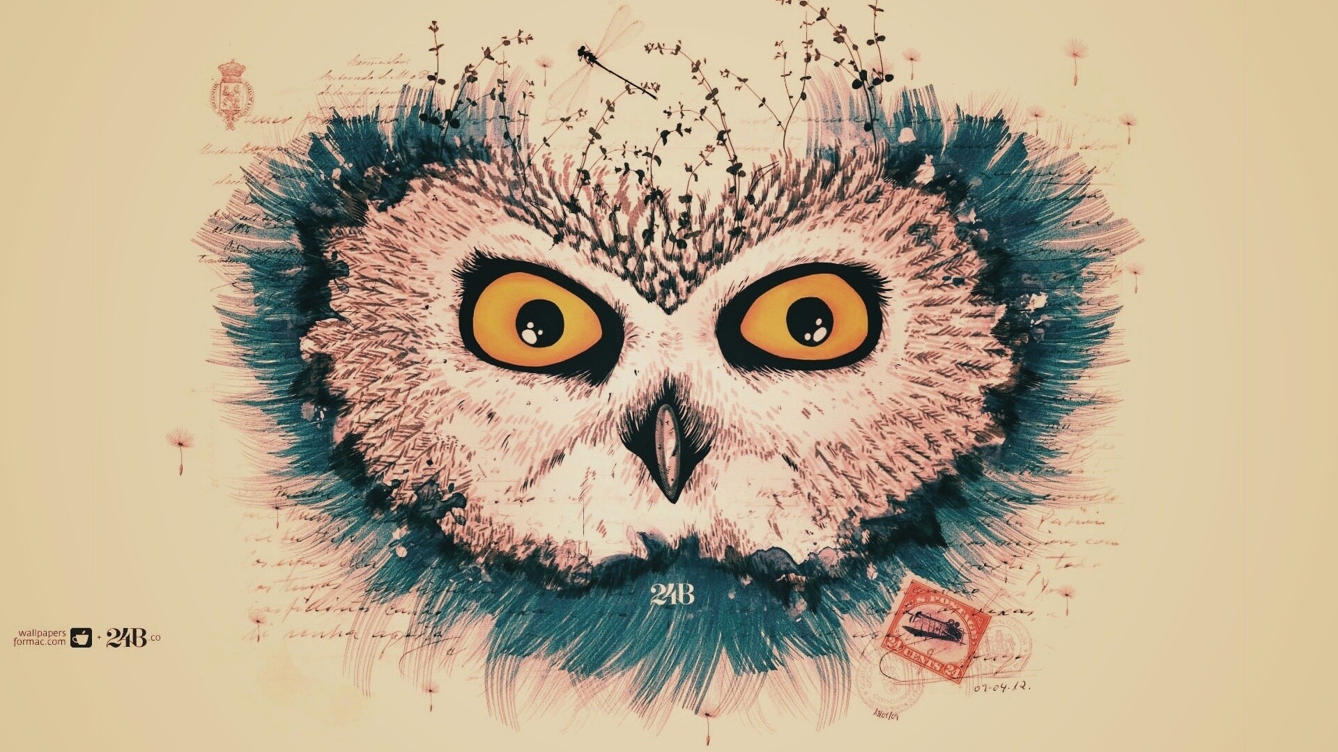 Обои сова для mac book обои