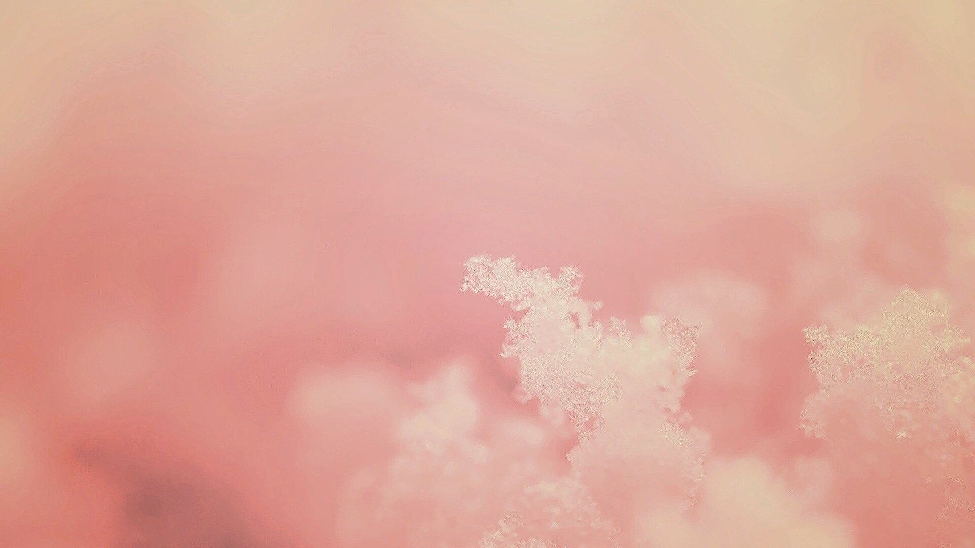 Макро фото снега обои