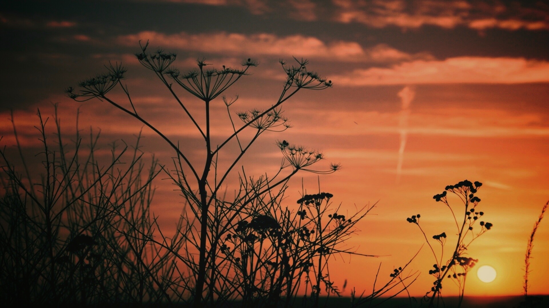 Степной закат обои