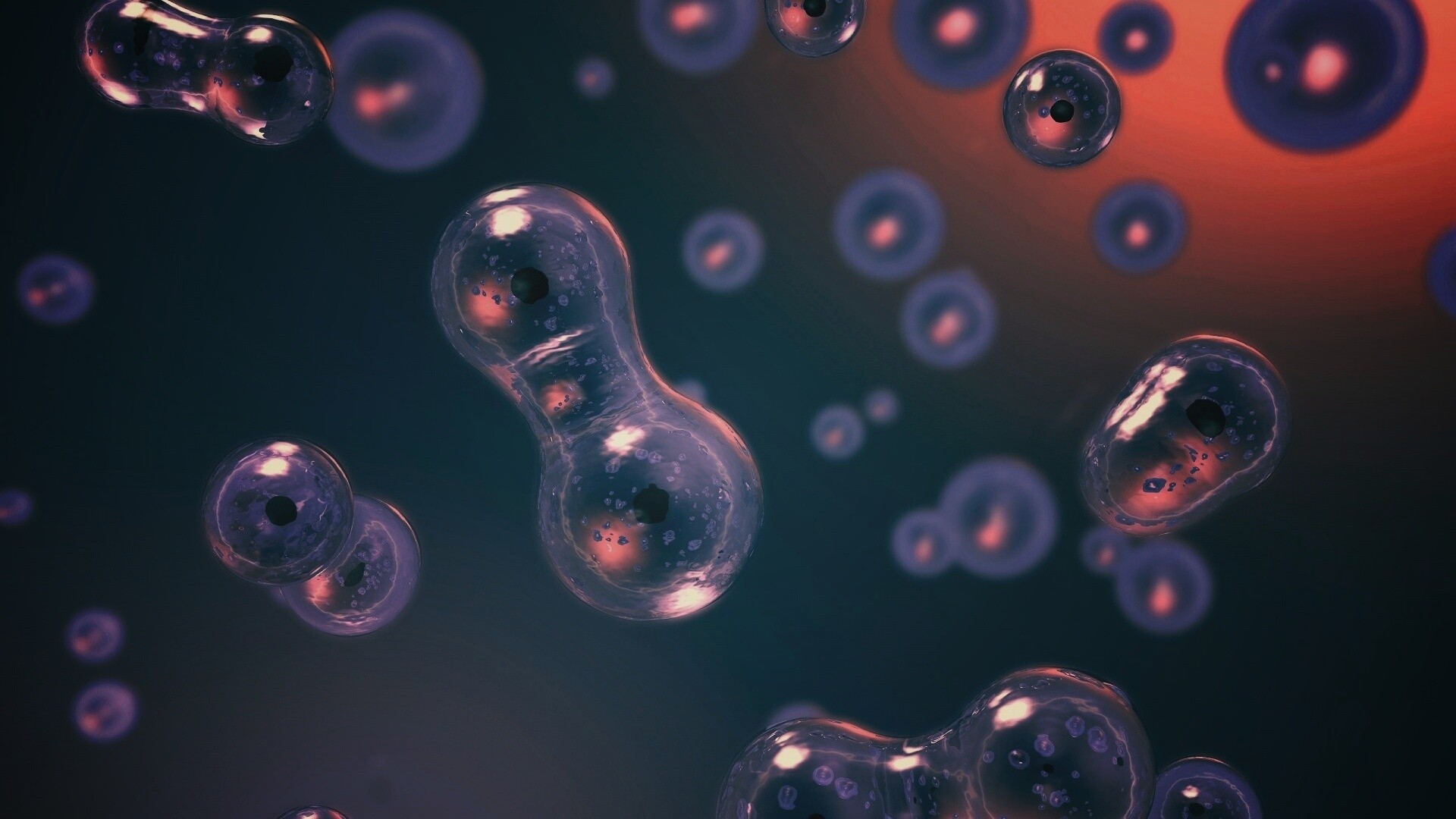 Деление обои