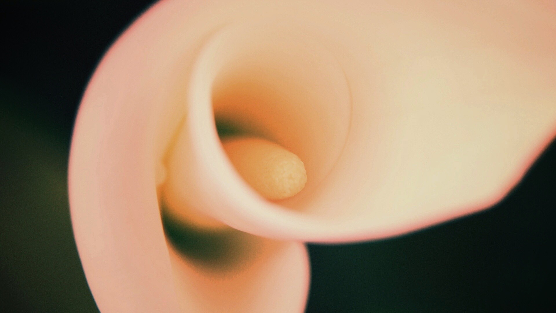 Спираль обои