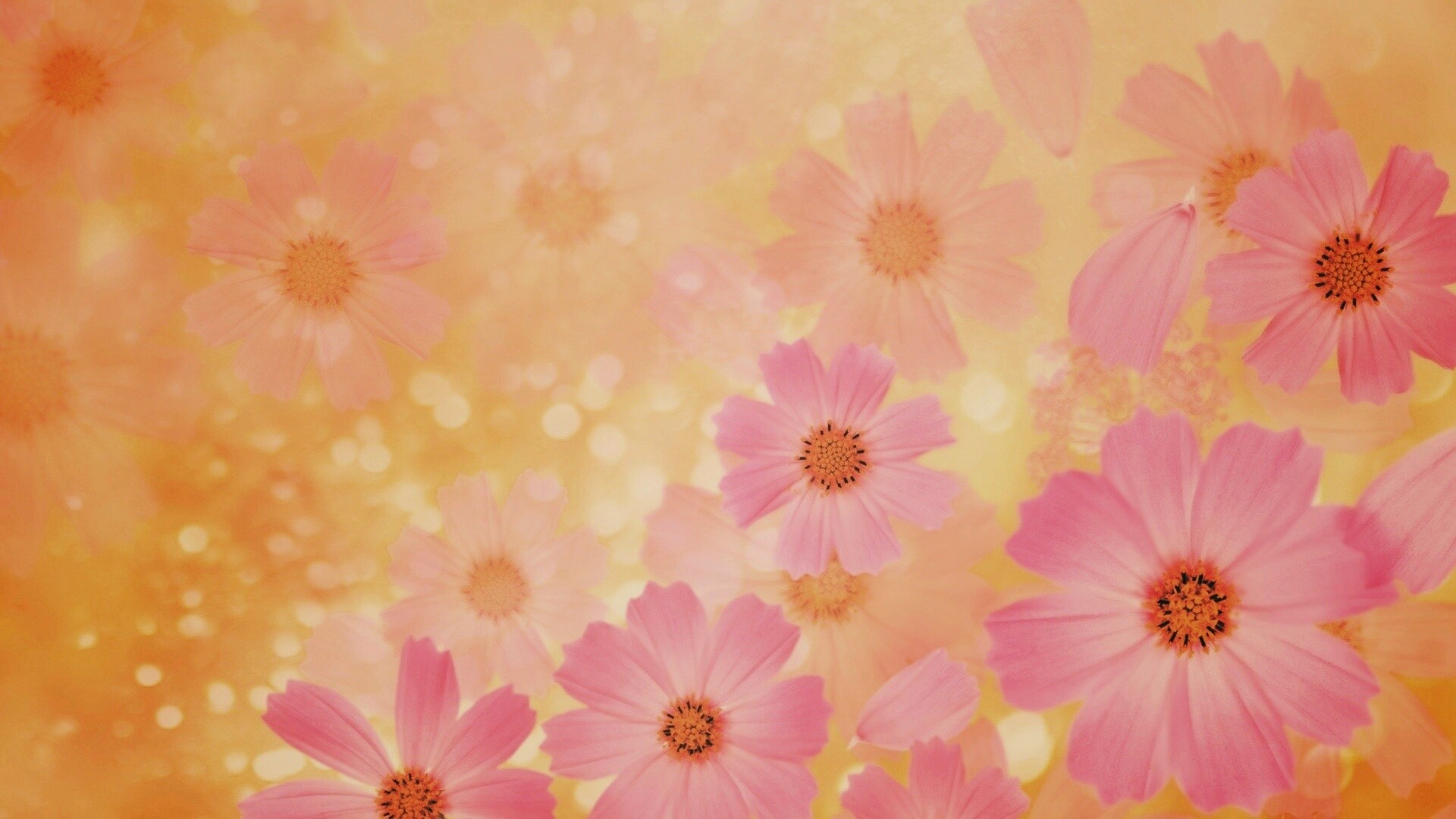 Цветочки обои