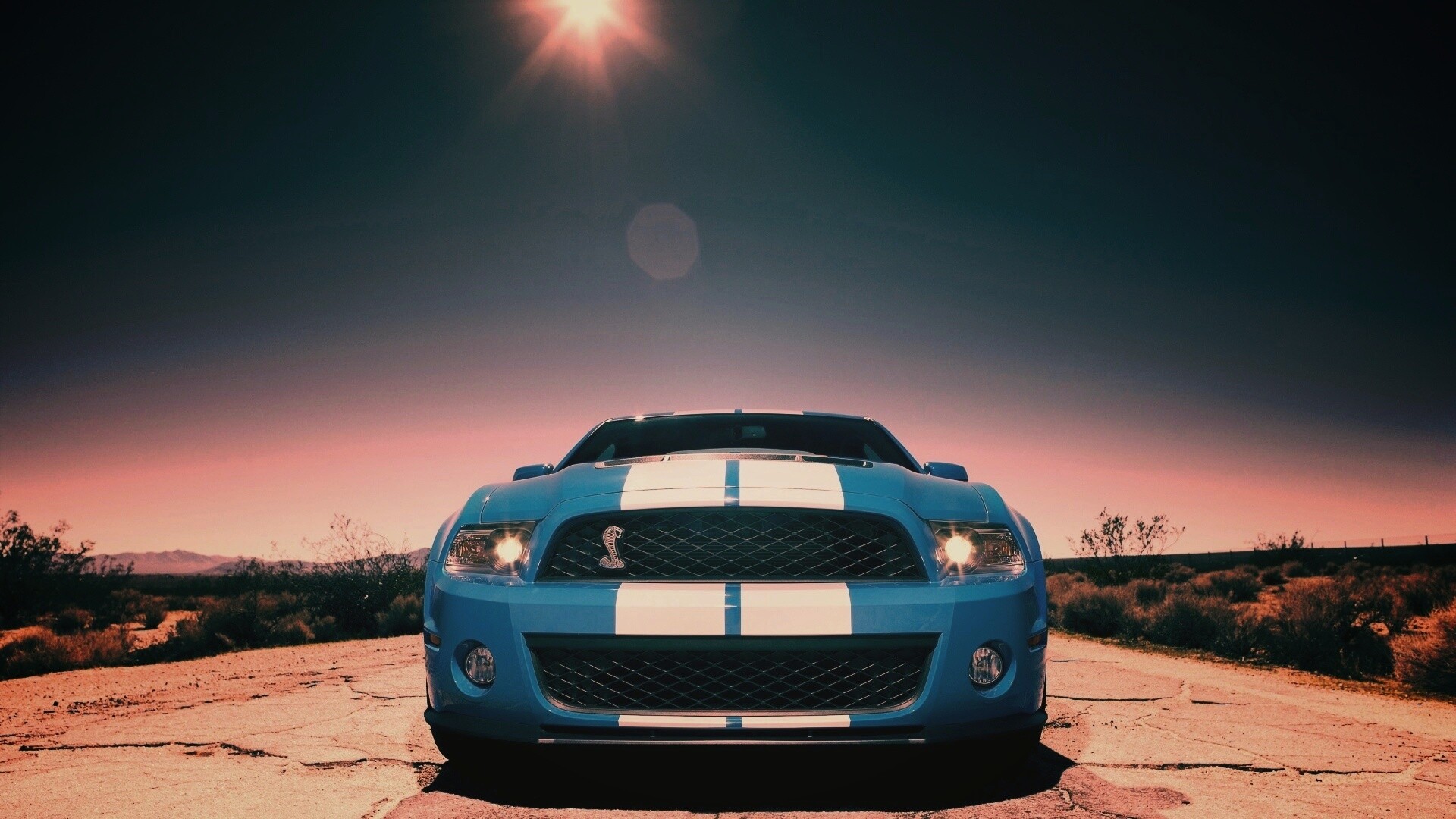 Форд Шелби обои