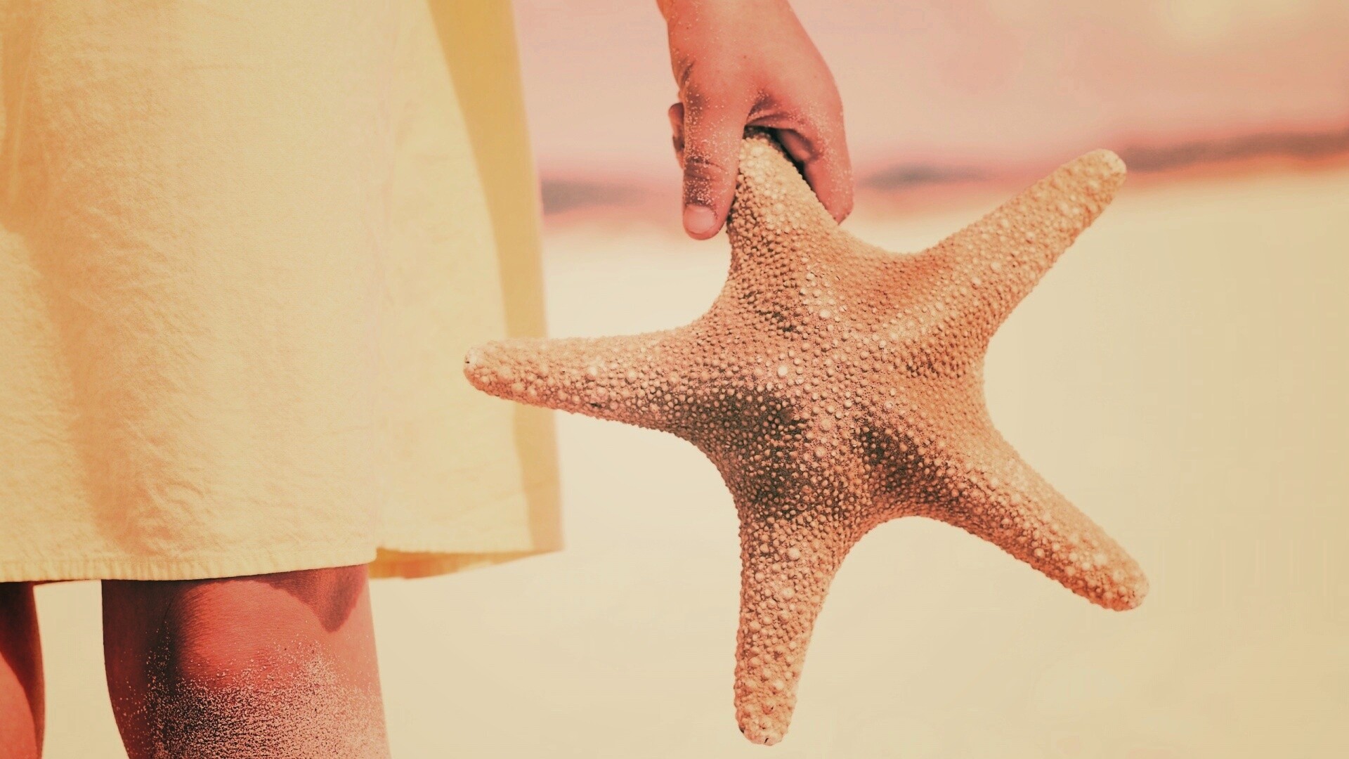 Морская звезда в руке обои