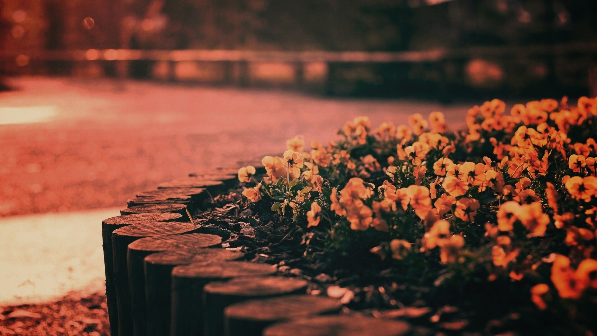 Красивая цветочная клумба обои