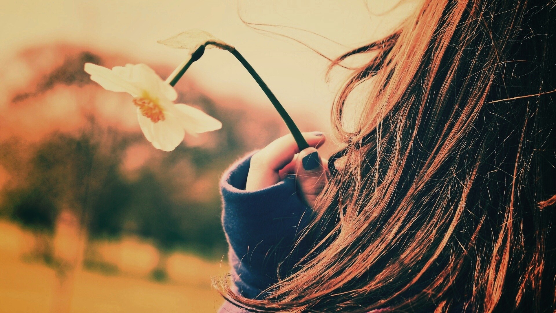 Девушка с нарциссом в руке обои