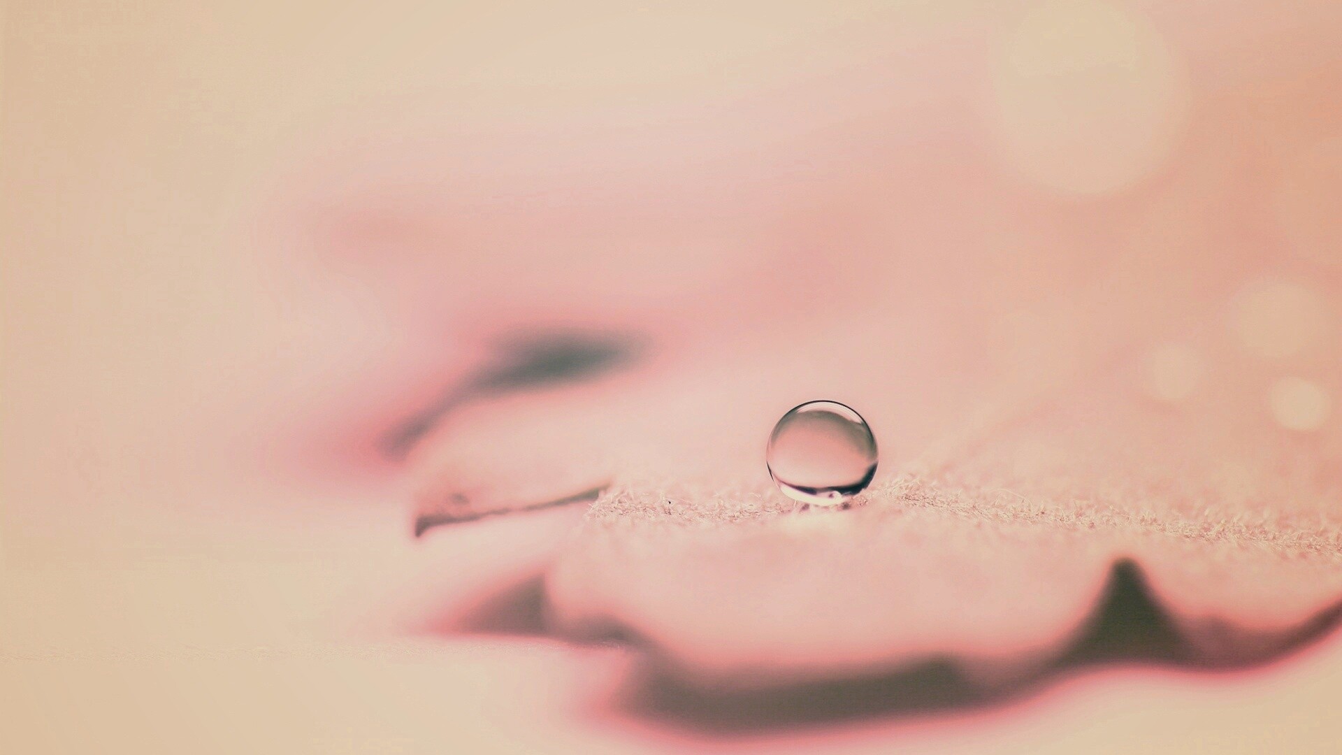 Капля на замёрзжем листе обои