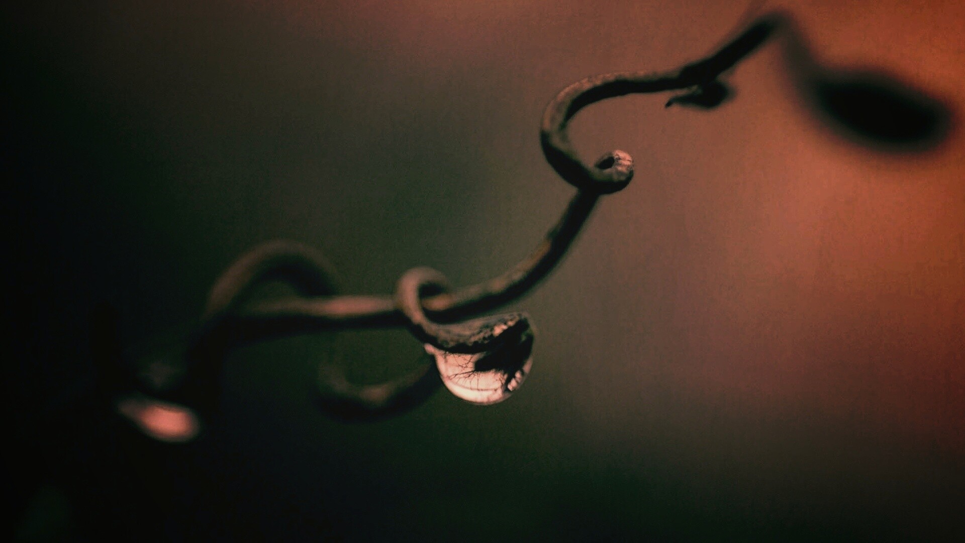 Одинокая капля обои