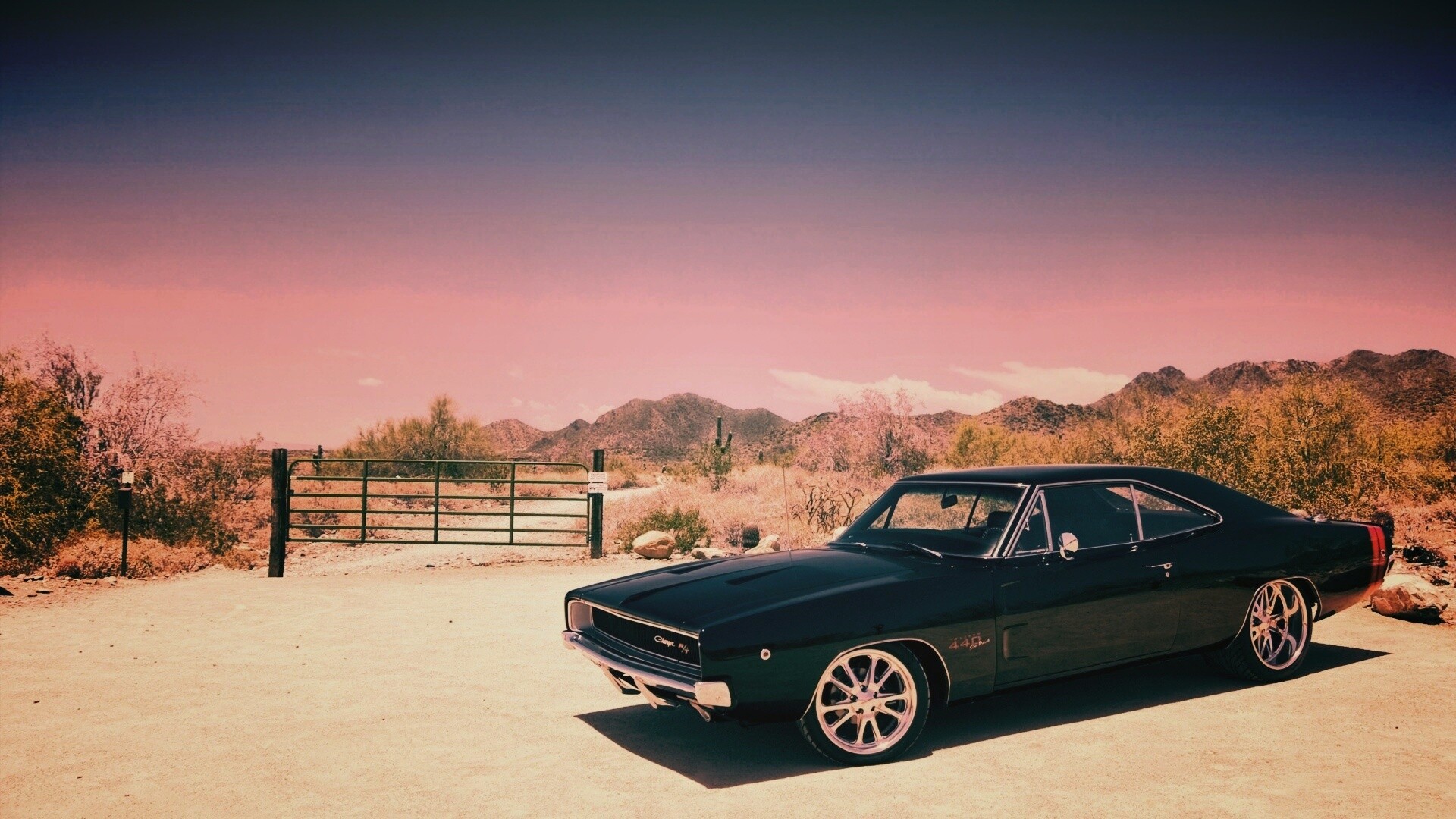 Мускулкар под палящим солнцем обои