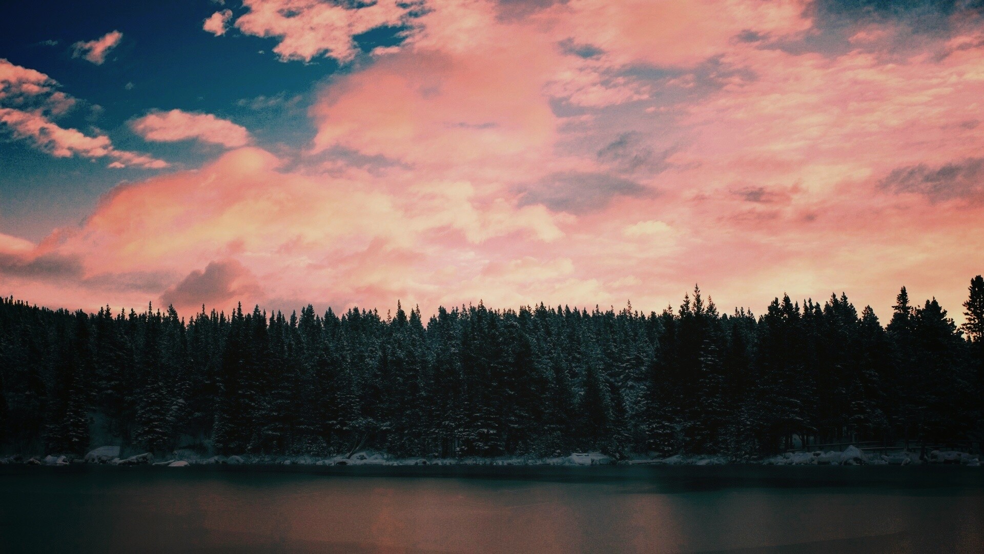 Лес на озере обои