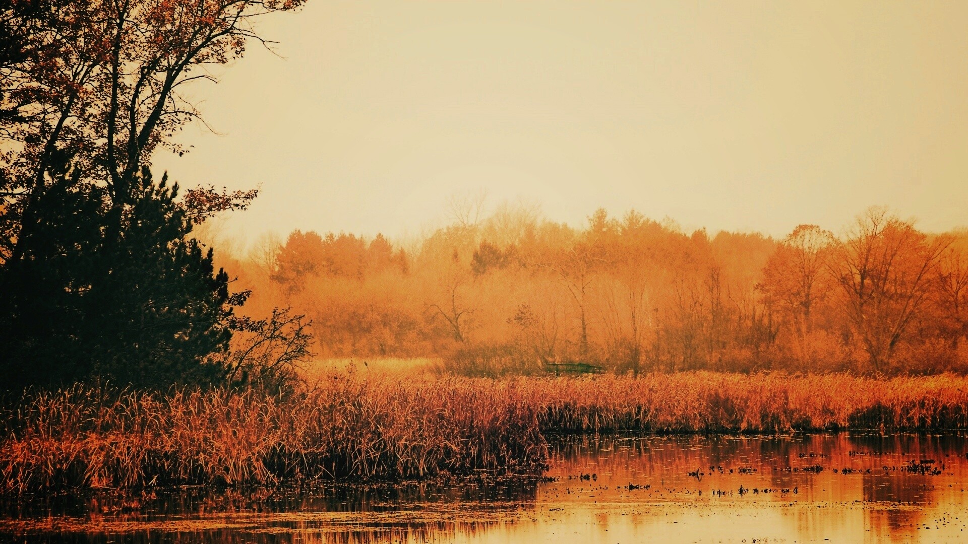 Живописные болота обои