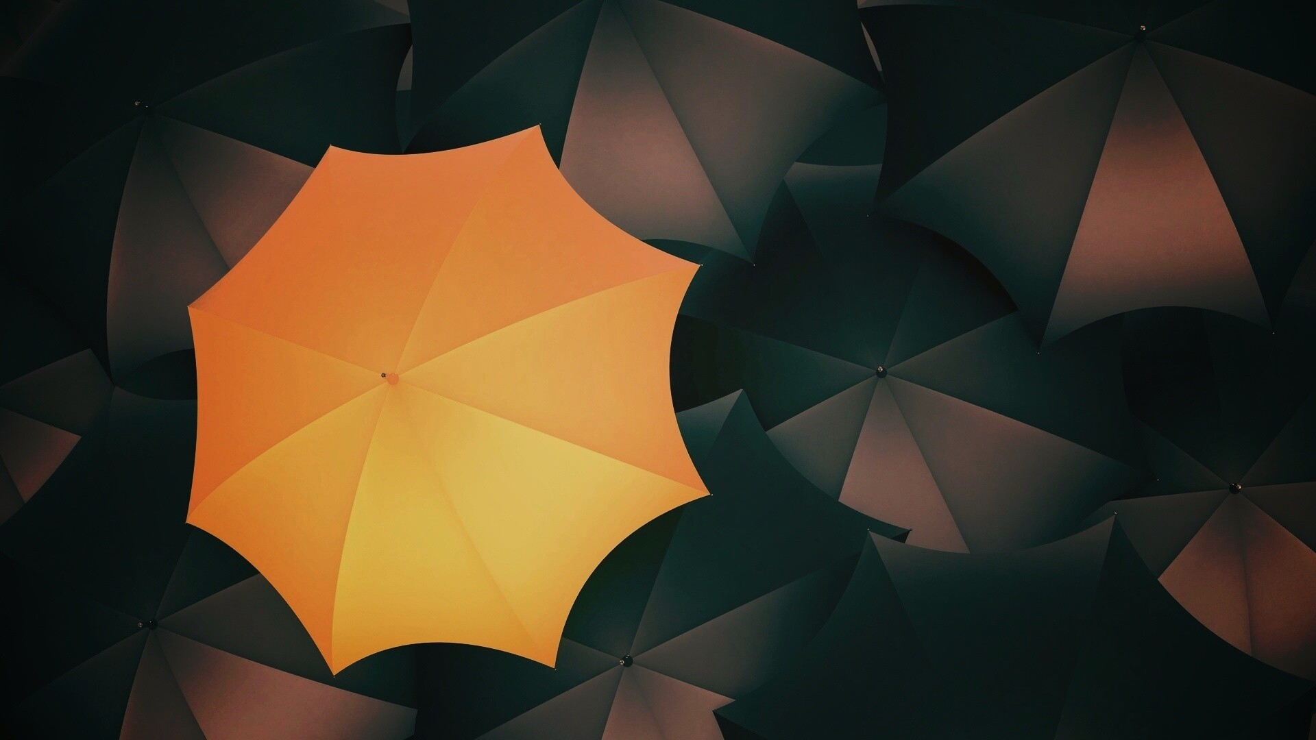 Жёлтый среди чёрных обои