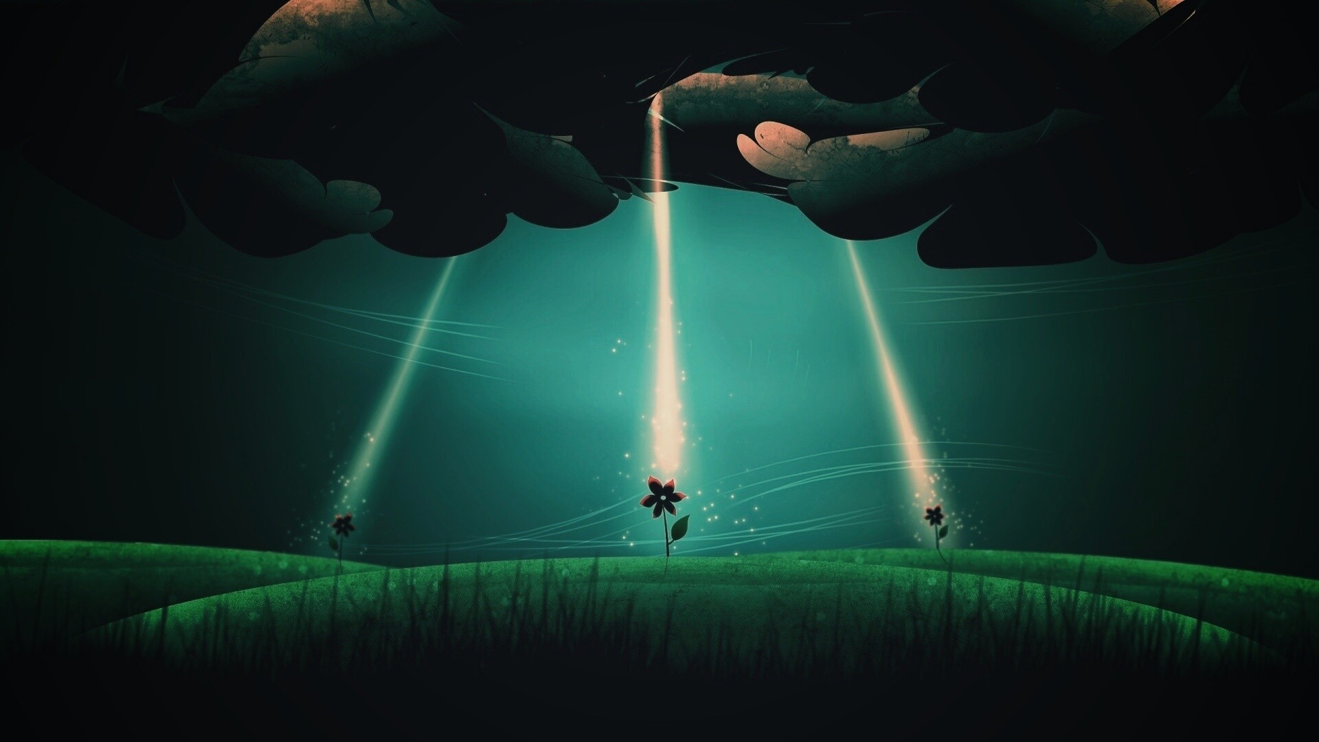 Свет для цветов обои