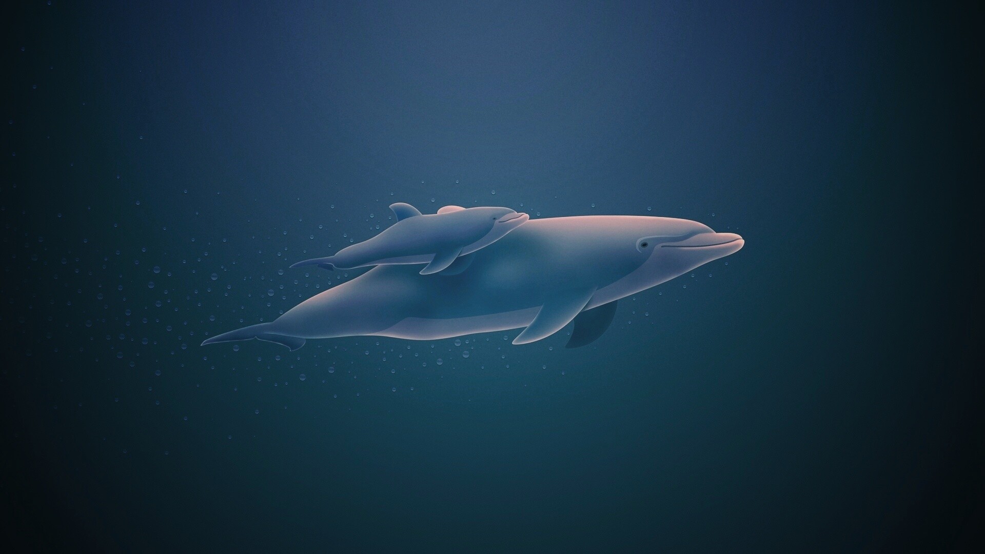 Дельфин и дельфиненок обои