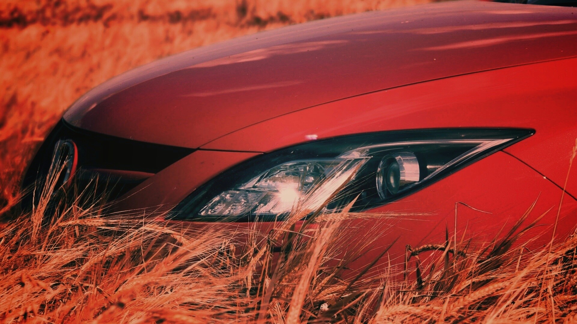 Мазда в пшенице обои