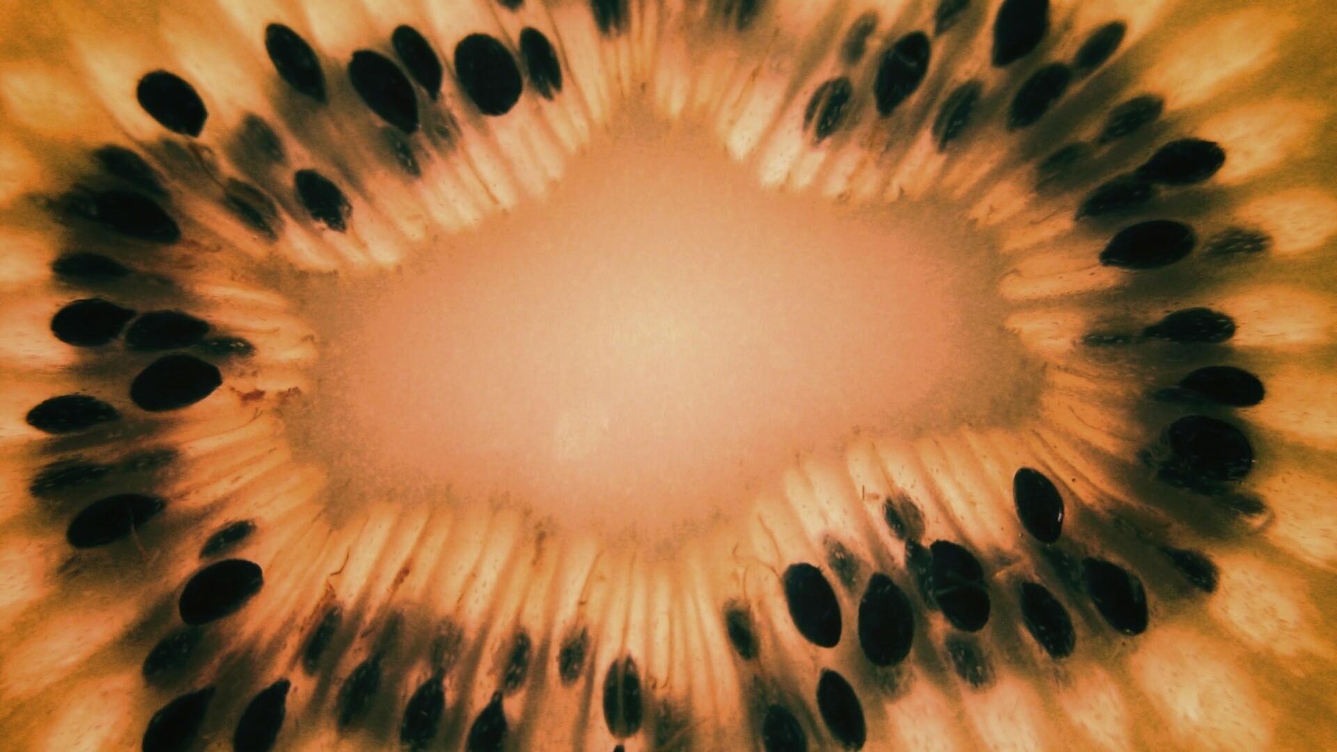 Макро фото киви в разрезе обои