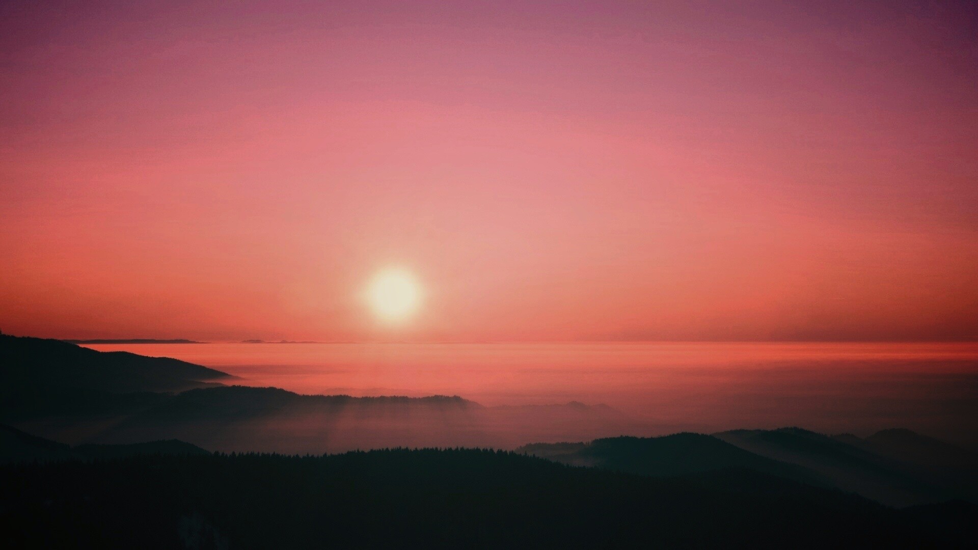 Восход солнца над лесом обои